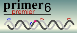 Primer Premier 5下载安装教程