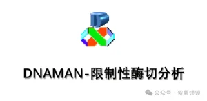 DNAMAN 9.0下载安装教程