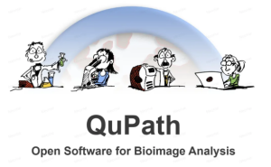 QuPath 0.5.1 下载安装教程